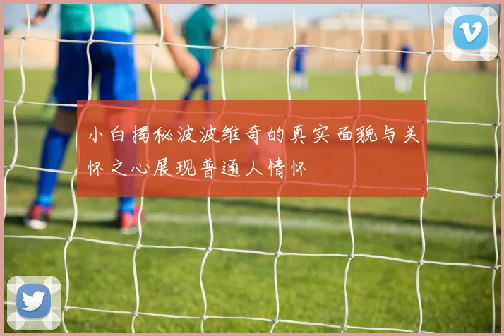 小白揭秘波波维奇的真实面貌与关怀之心展现普通人情怀