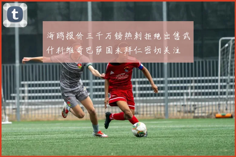 海鸥报价三千万镑热刺拒绝出售武什科维奇巴萨国米拜仁密切关注